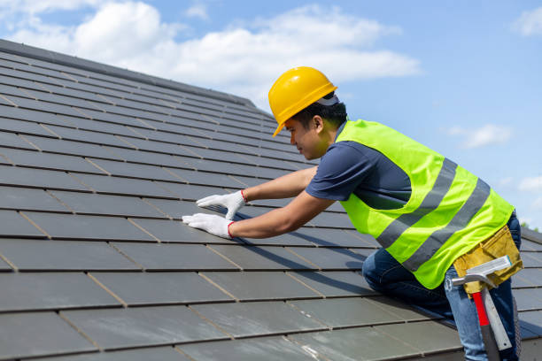Best Roof Gutter Cleaning  in Fairbank, IA