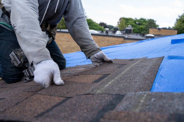 Best Commercial Roofing Services  in Fairbank, IA